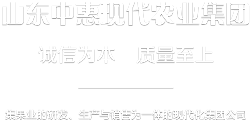 半岛.体育脱毒矮化苹果苗木种植
