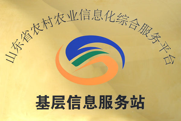基层信息服务站